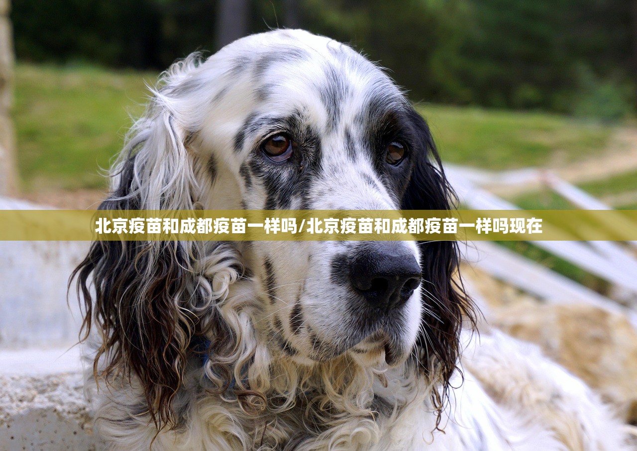 重大通报竞技联盟有开挂辅助软件吗(其实真的能开挂) 重大通报竞技联盟有开挂辅助软件吗(其实真的能开挂)