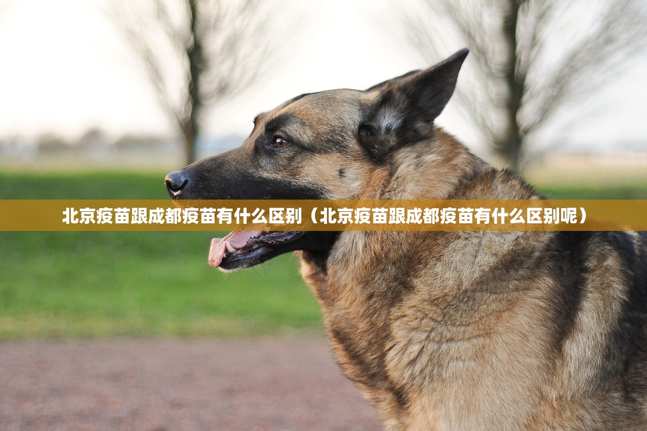 分享实测酉游能不能开挂(真的有挂)-知乎