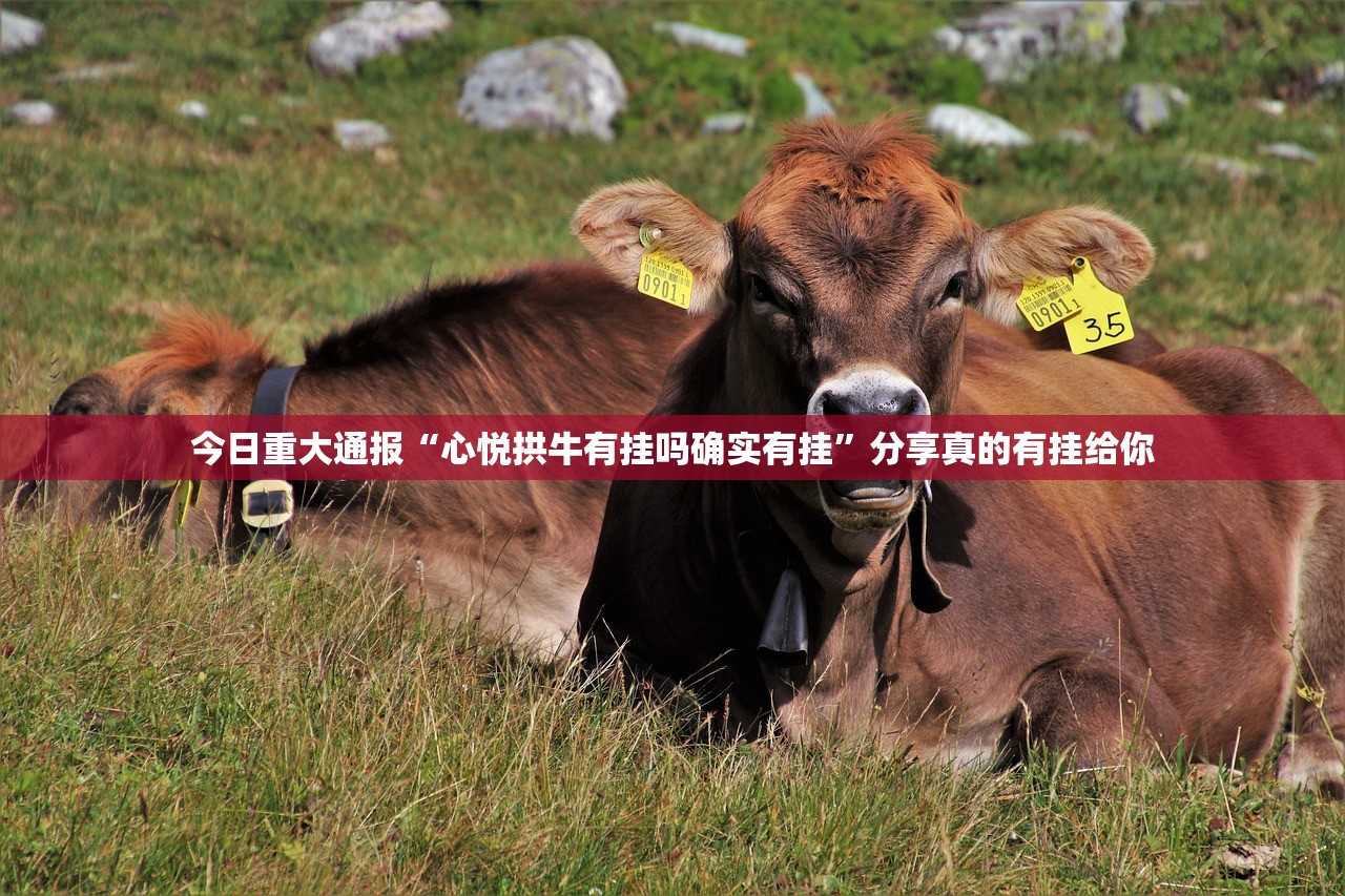 【浙江省疫情最新情况地图,浙江省疫情最新情况地图分布】