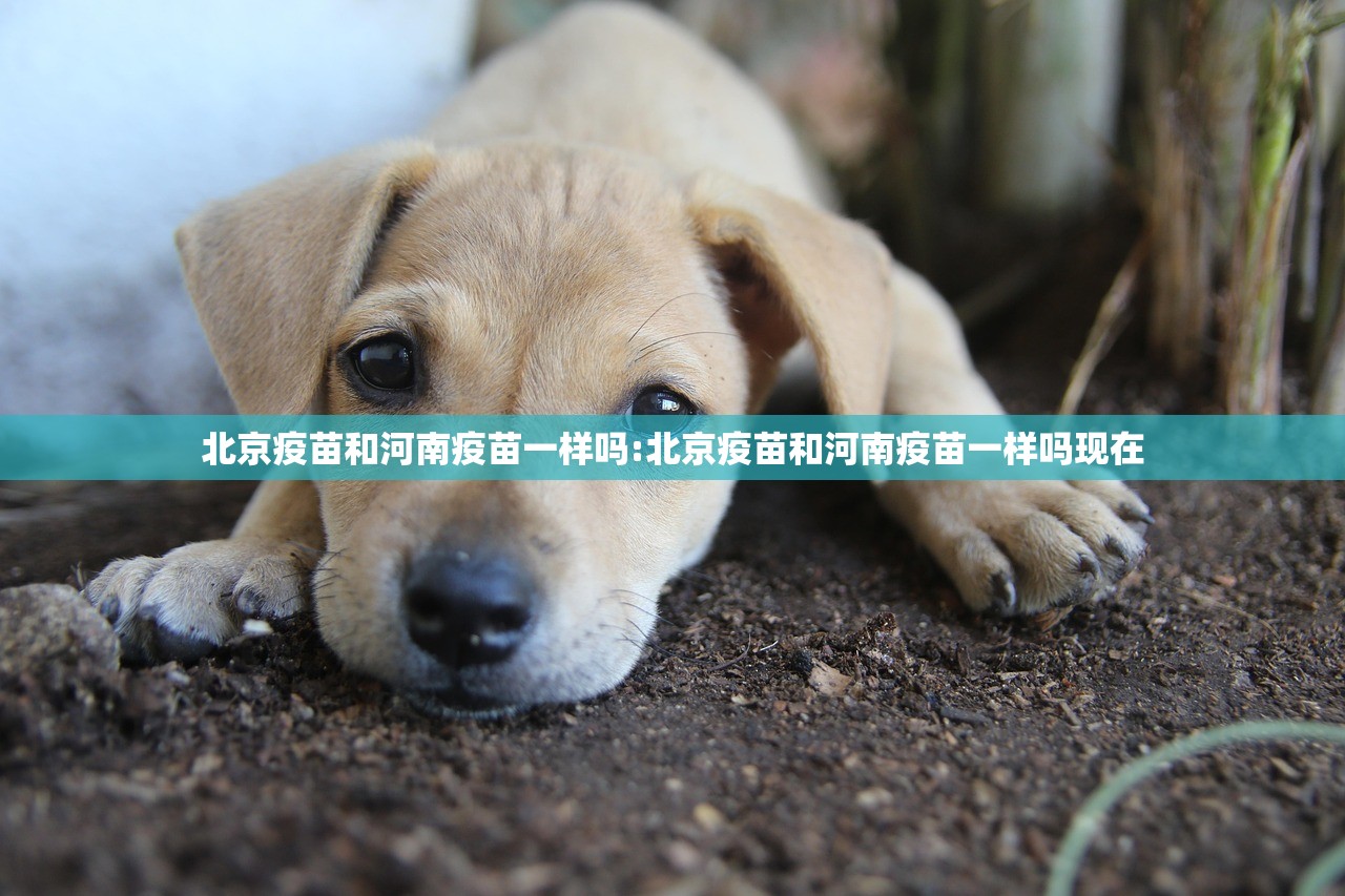 推荐一款谷友娱乐有透视挂吗真的确实有挂