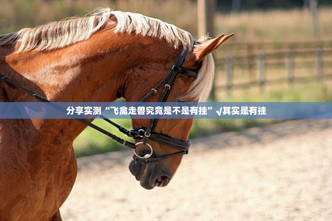 重大通报十三十三水原来确实有挂其实有挂-知乎