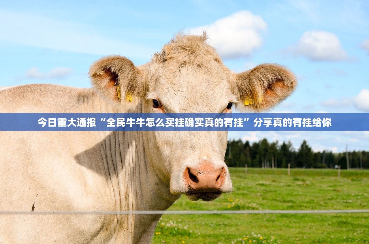 重磅.来袭公会联赛可以装挂吗原来真可以开挂