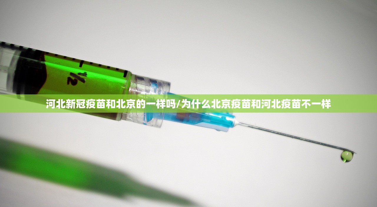 今日重大通报晟和互动其实是可以开挂!确实能开挂实测确实有挂