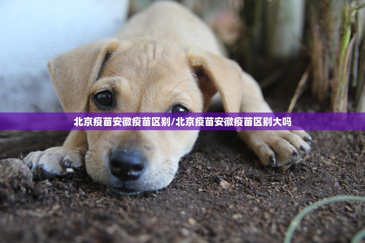 今日重大通报扎西茶楼到底能开挂吗其实有挂-知乎