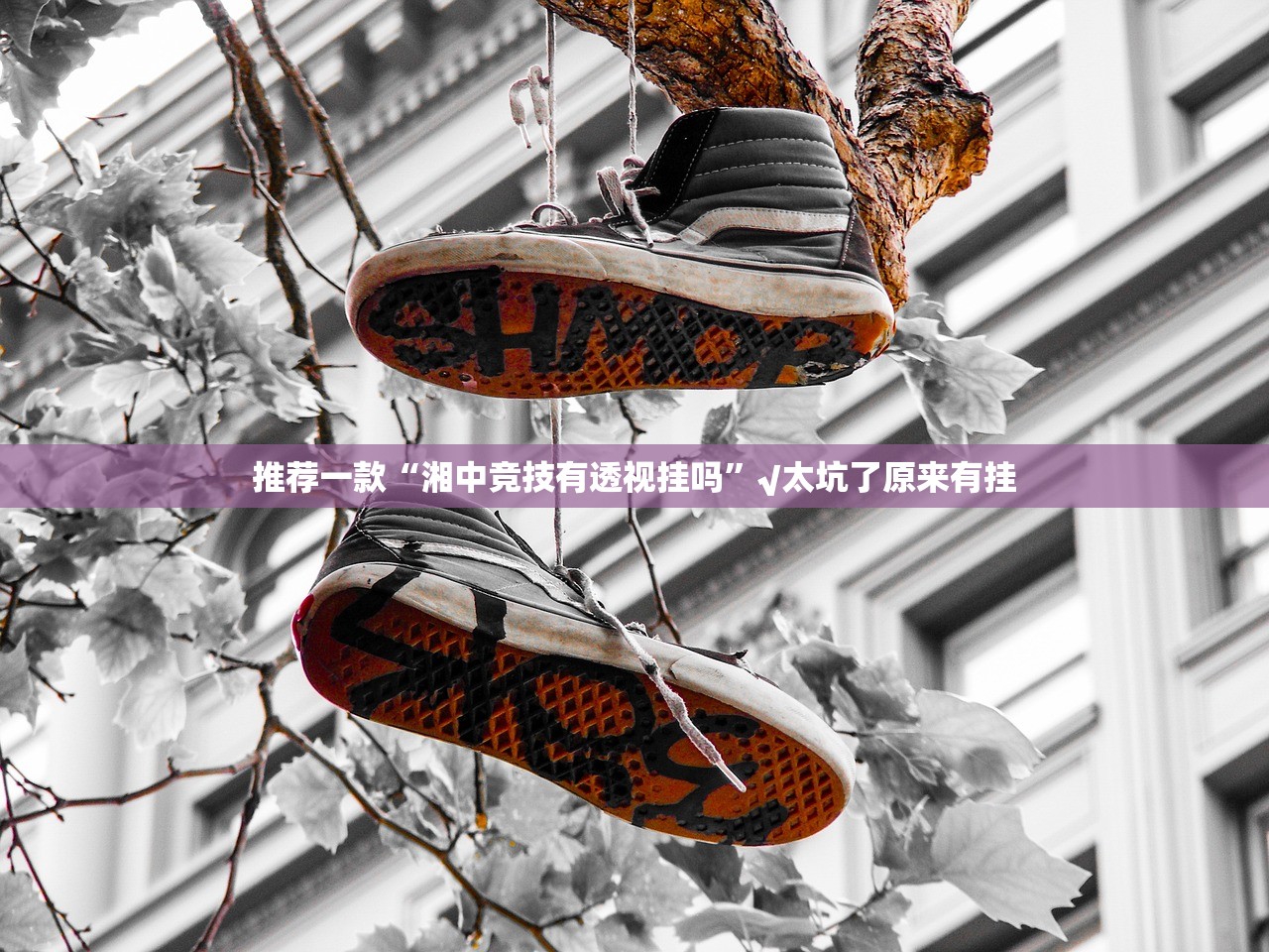 分享实测鄂州晃晃怎么开的挂(其实真的能开挂)