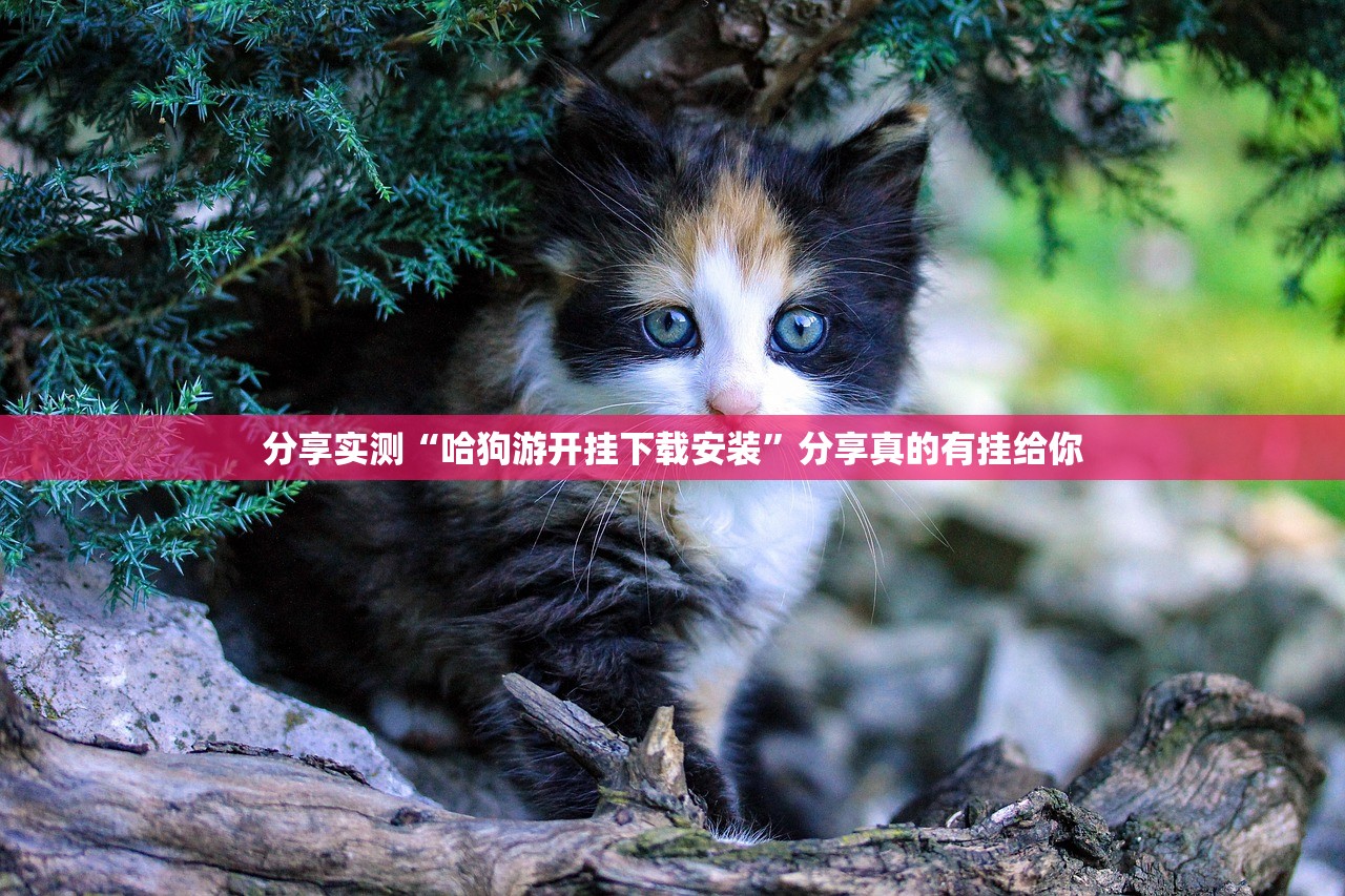 重磅.来袭梦马娱乐有没有挂确实有挂@太坑了真的有挂