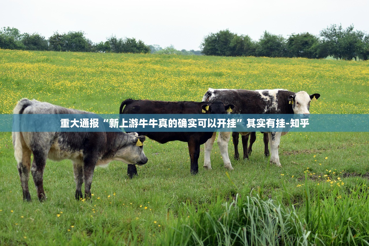 分享实测盛唐娱乐开挂在哪里开√曝光透视猫腻