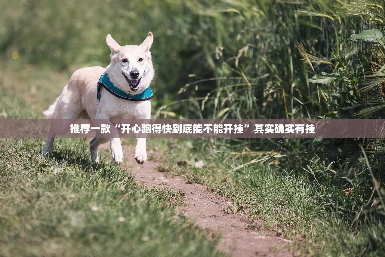 分享实测川麻圈辅助挂 果然有挂