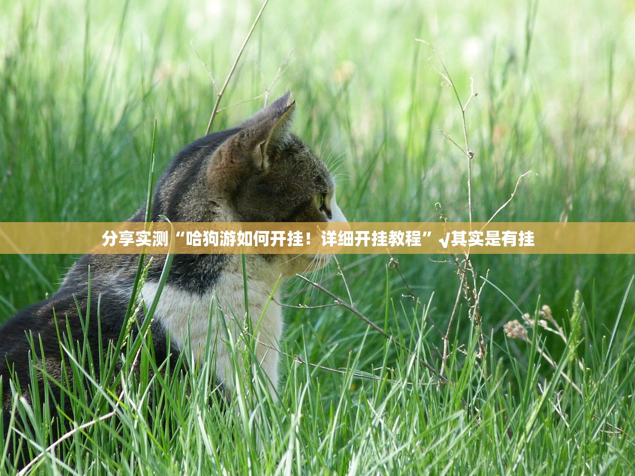 重磅.来袭传奇德州如何开挂!详细开挂教程(确实有挂) 重磅.来袭传奇德州如何开挂!详细开挂教程(确实有挂)