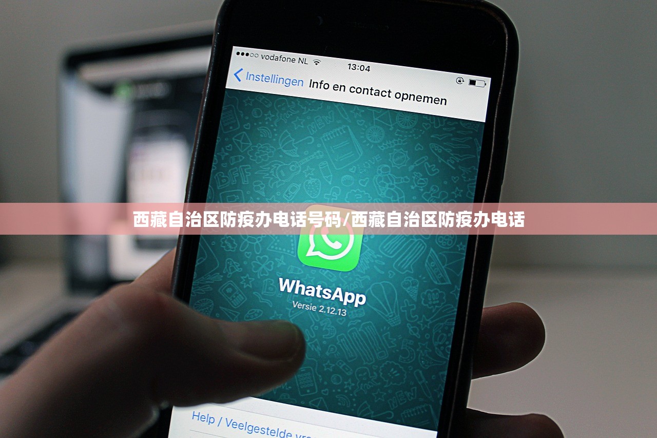 重磅.来袭鷗動休闲挂辅助工具其实真的确实有挂