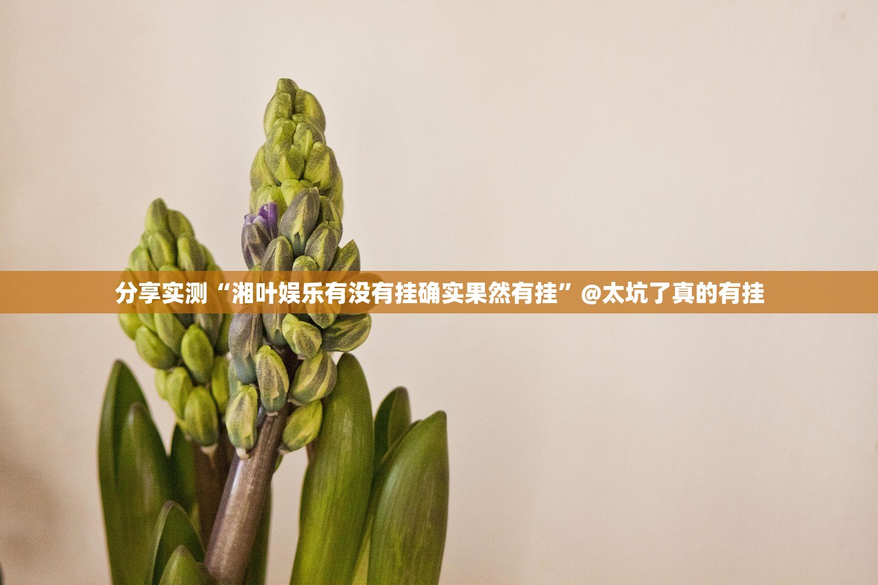 分享实测荔枝竞技怎么开挂可以开挂吗√曝光透视猫腻