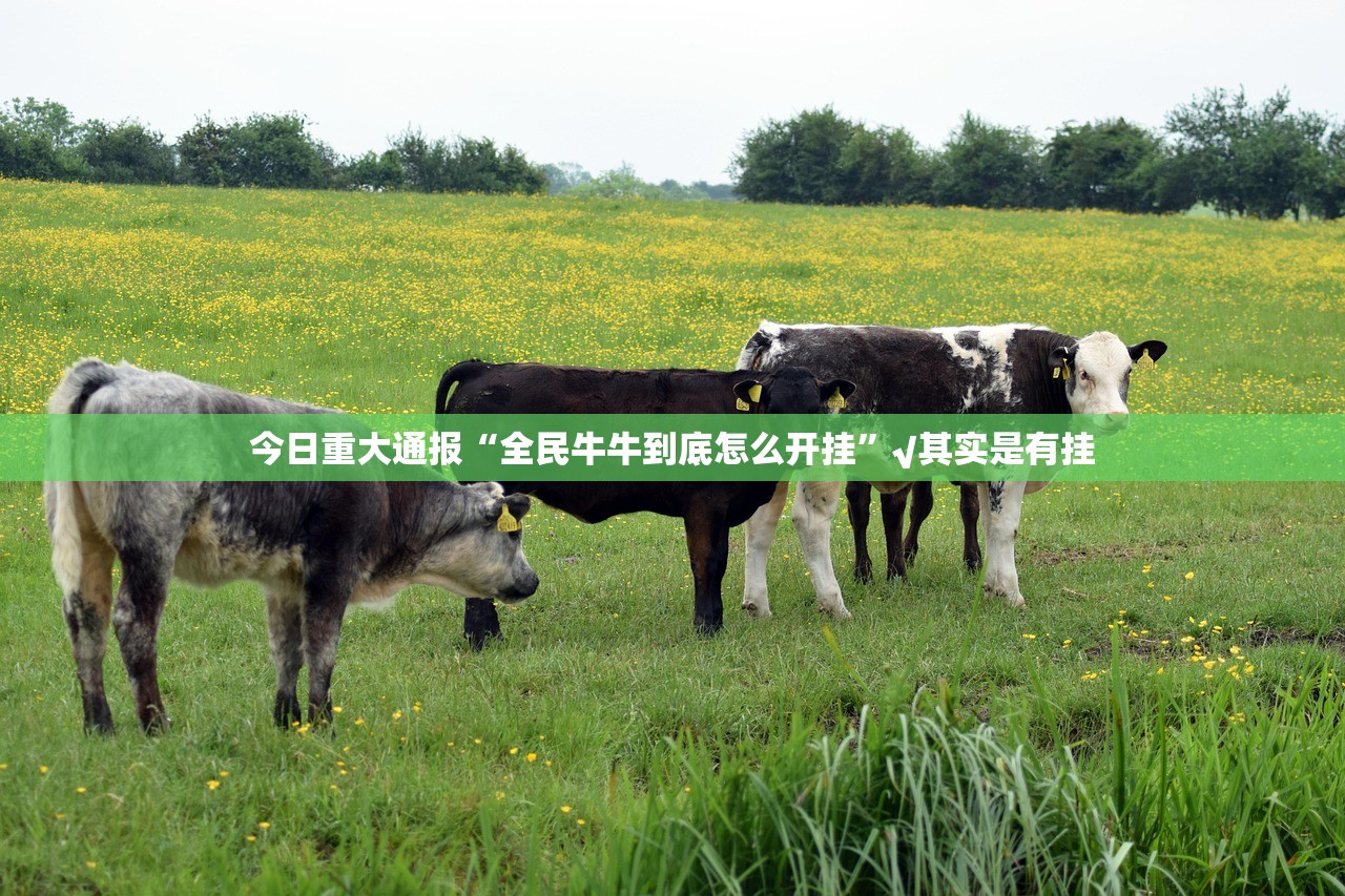 重大通报四海互娱真的确实是有挂(真的有挂)-知乎