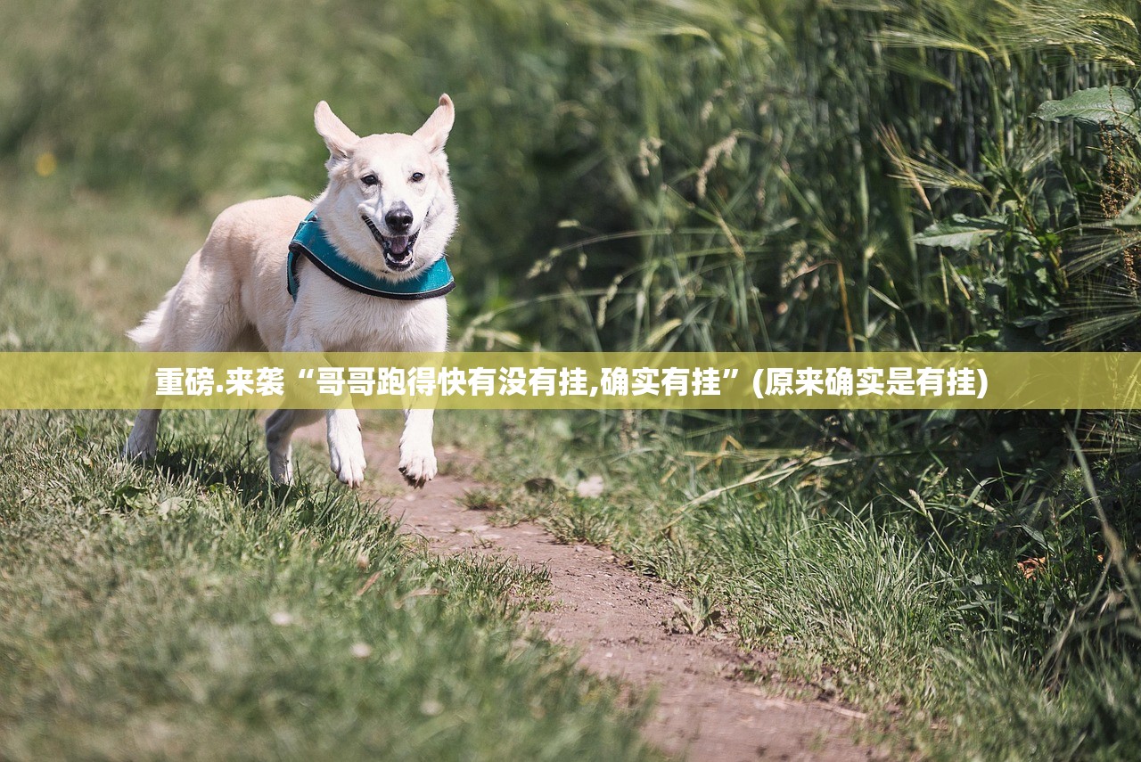 重磅.来袭“哥哥跑得快有没有挂,确实有挂”(原来确实是有挂) 重磅.来袭“哥哥跑得快有没有挂,确实有挂”(原来确实是有挂)