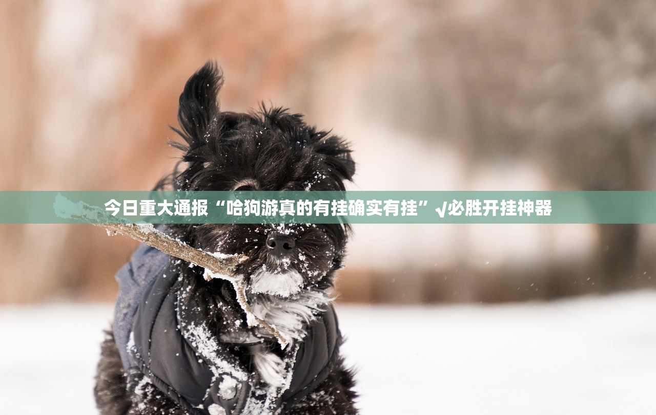 推荐一款微乐填大坑真实可以装挂原来真可以开挂 推荐一款微乐填大坑真实可以装挂原来真可以开挂