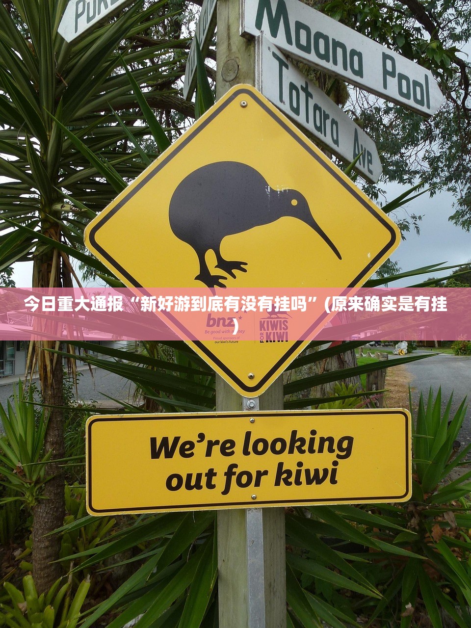 重磅.来袭新畅游互娱确实是有挂原来真可以开挂