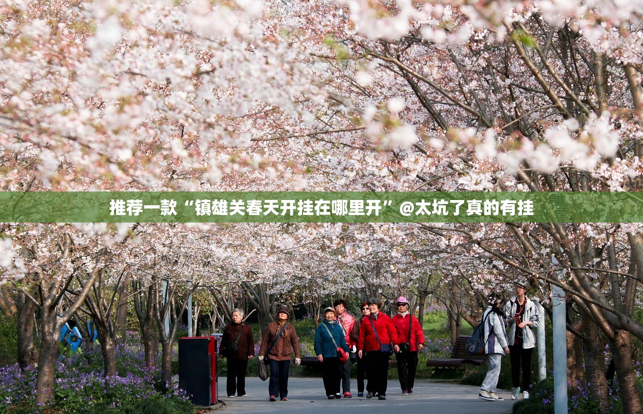 推荐一款“镇雄关春天开挂在哪里开”@太坑了真的有挂