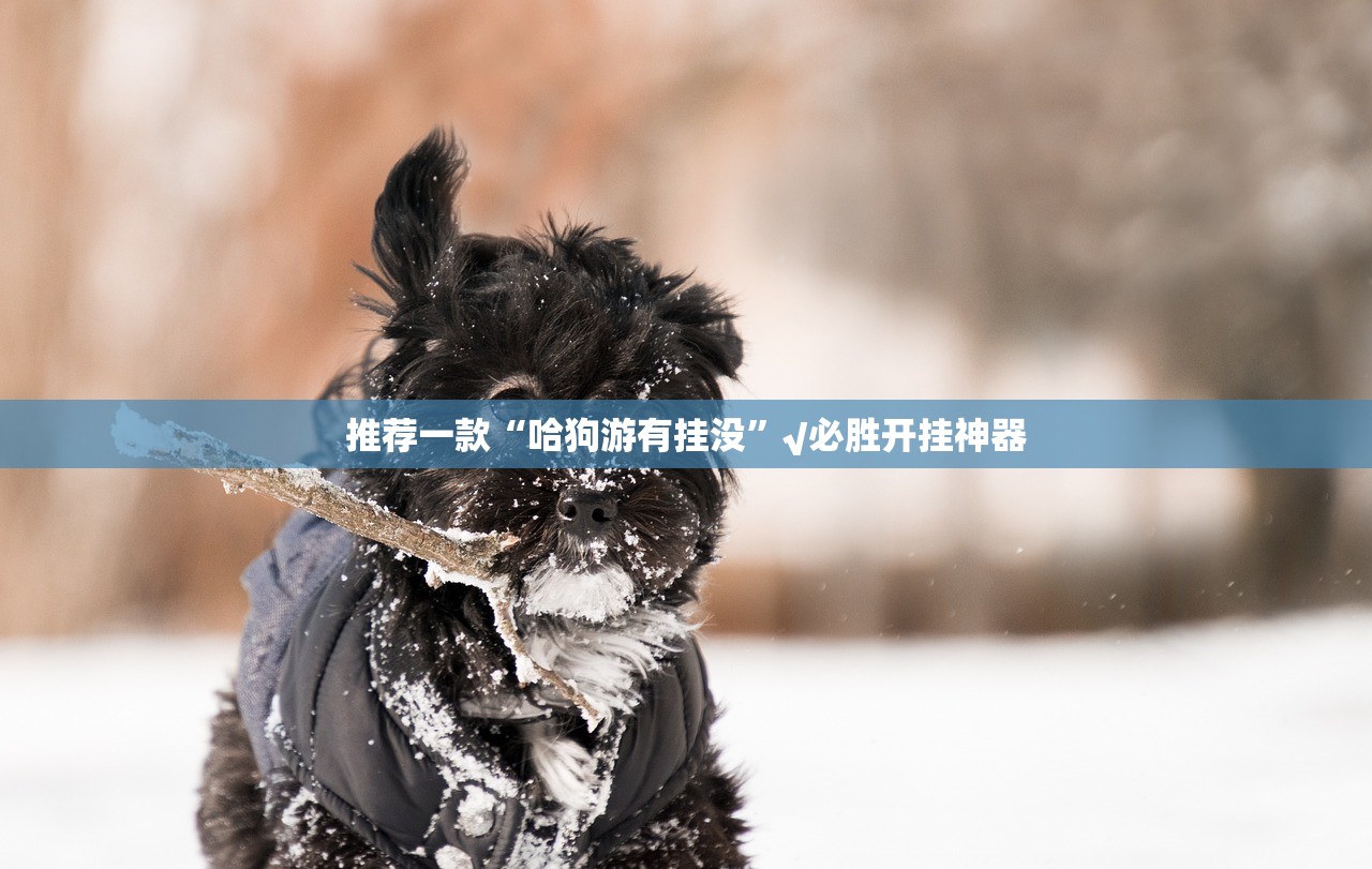 重大通报小南娱乐其实能开挂吗原来可以开挂 重大通报小南娱乐其实能开挂吗原来可以开挂