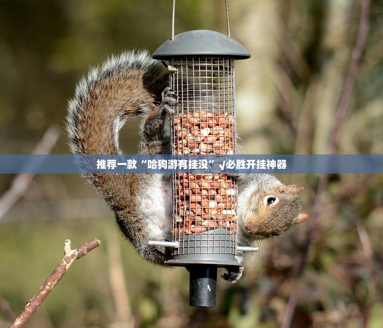 推荐一款“哈狗游有挂没”√必胜开挂神器 推荐一款“哈狗游有挂没”√必胜开挂神器