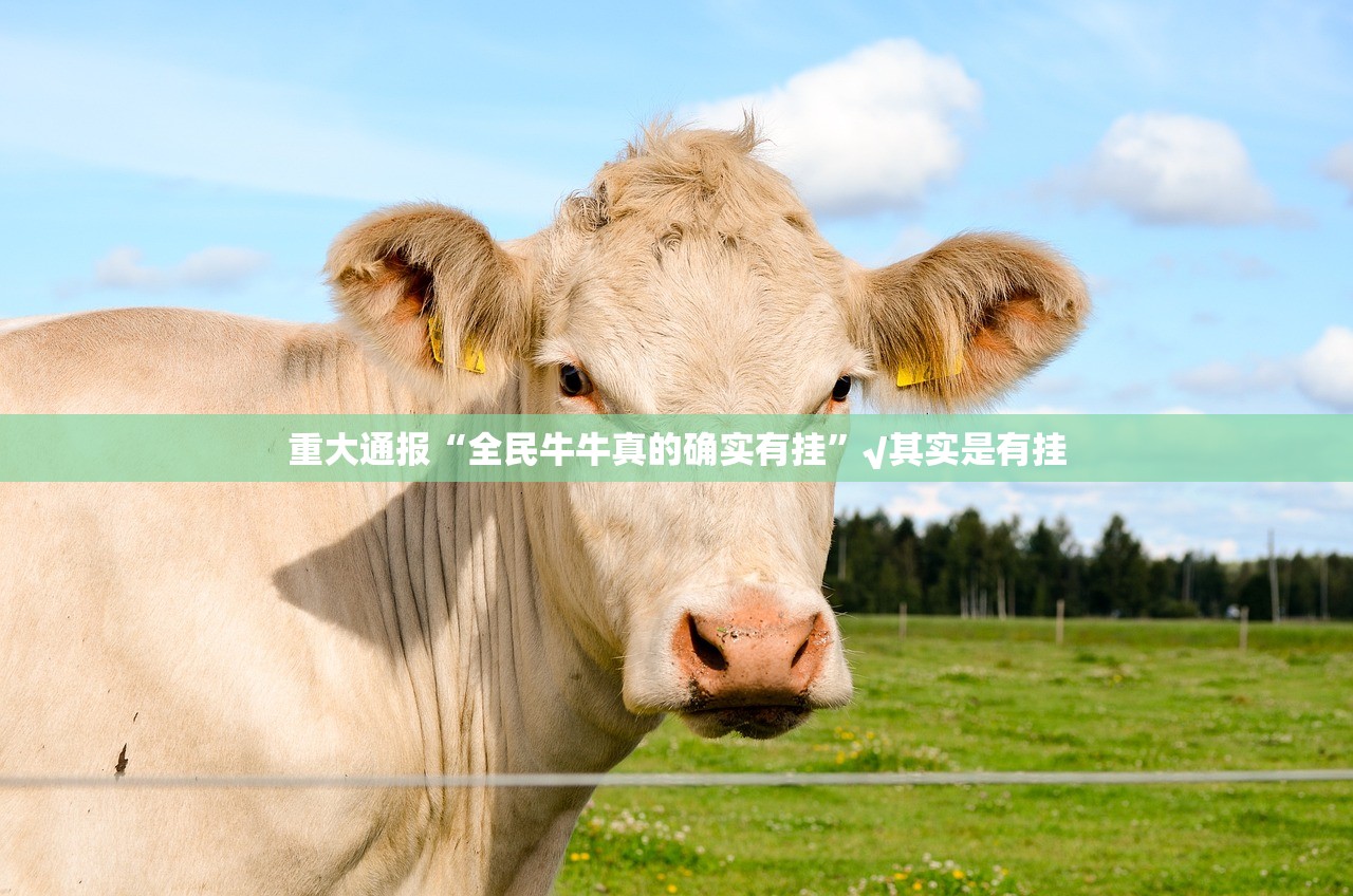 重磅.来袭悟空竞技麻将开挂神器其实有挂-知乎