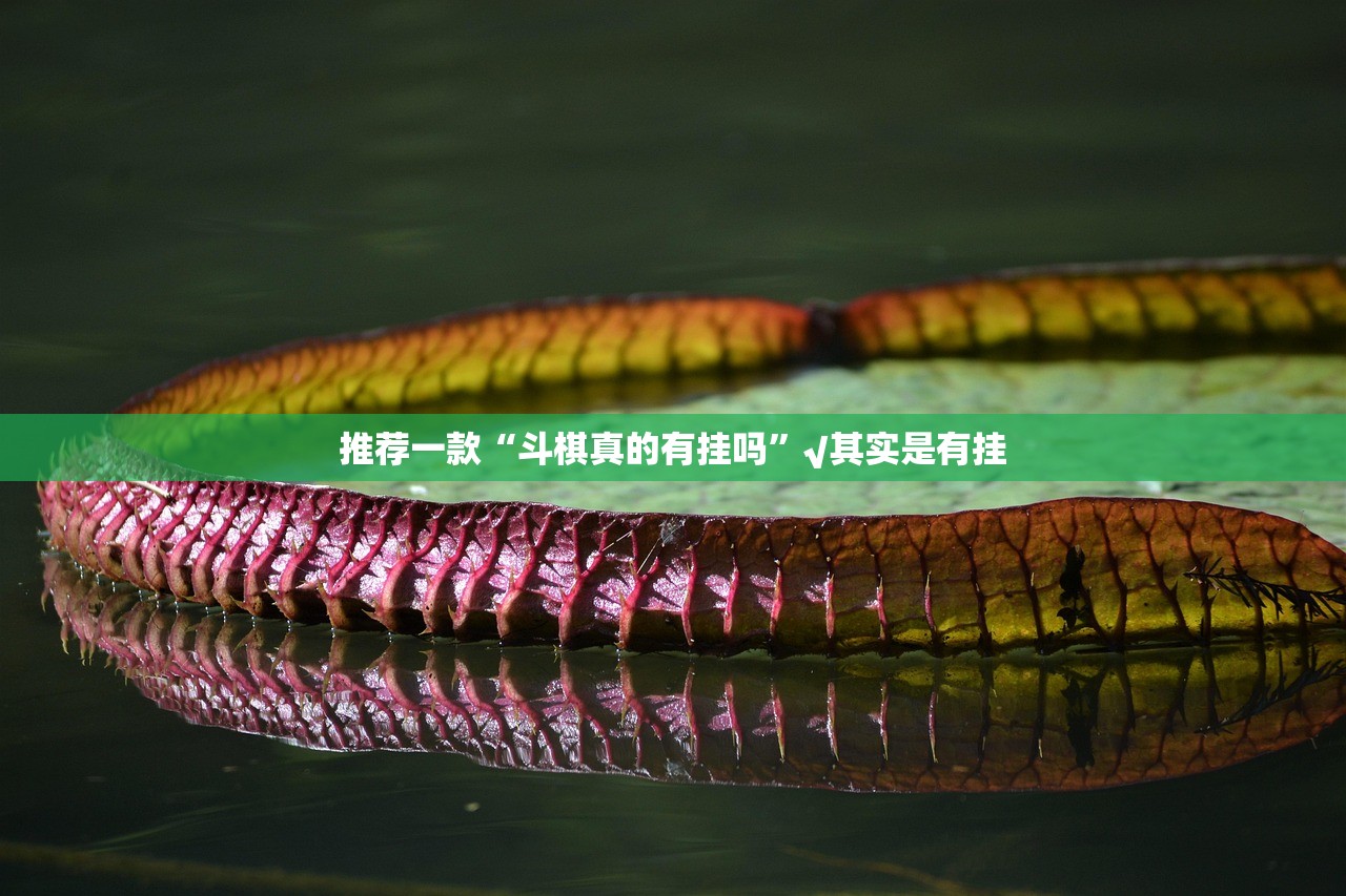 重磅.来袭熟人牛牛有挂吗其实是有挂真的确实有挂
