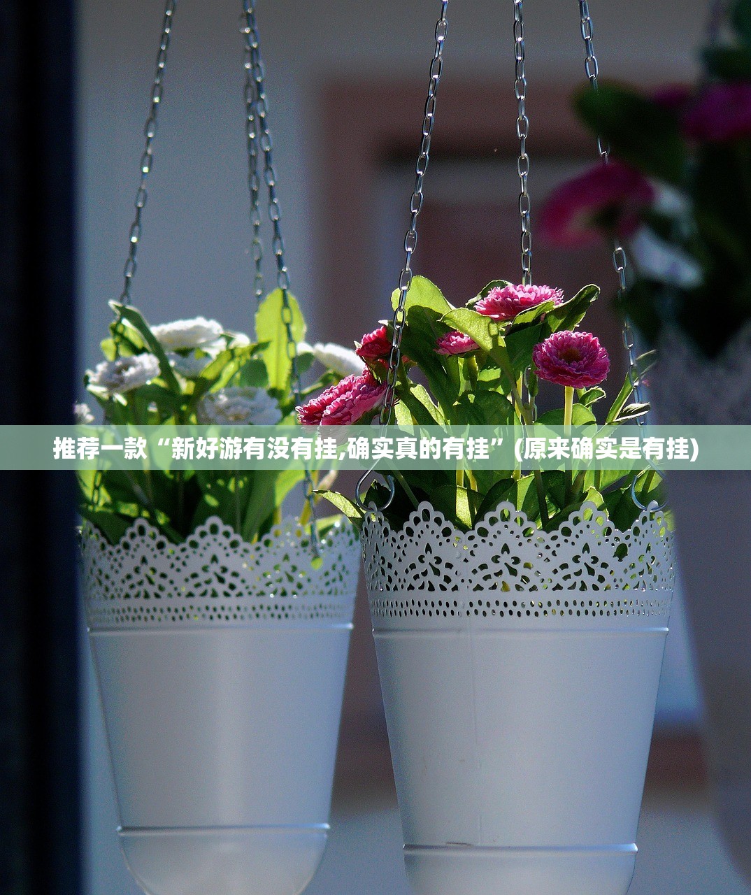 重大通报富友茶苑开挂在哪里开√其实是有挂