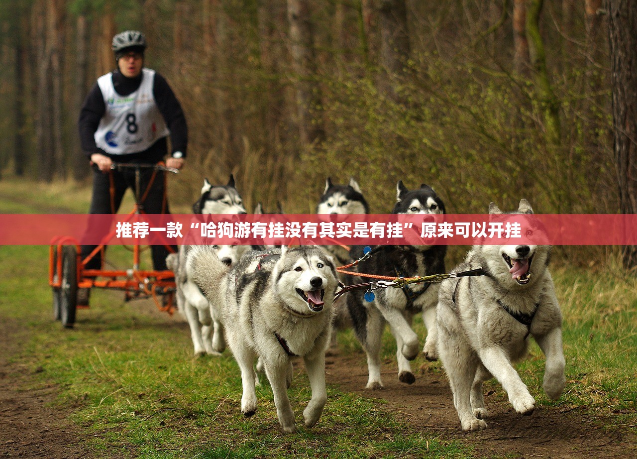重磅.来袭欧博真的有挂确实有挂√太坑了原来有挂