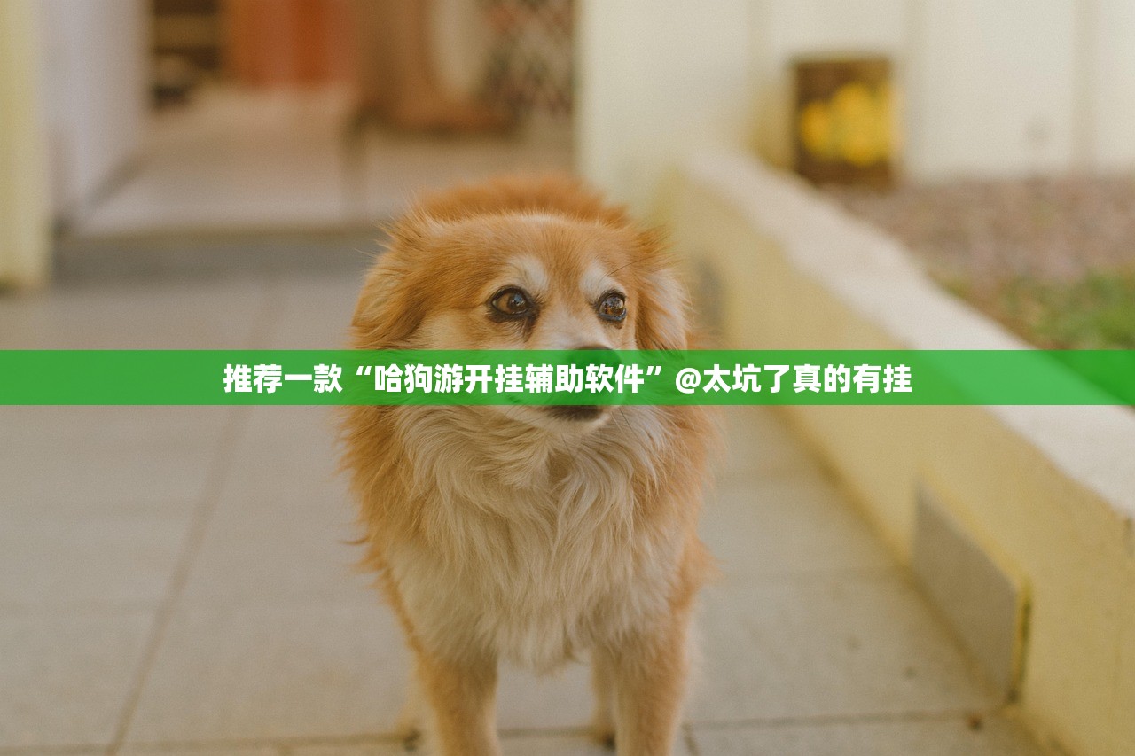 今日重大通报红龙扑克的确有挂确实真的有挂原来真可以开挂 今日重大通报红龙扑克的确有挂确实真的有挂原来真可以开挂