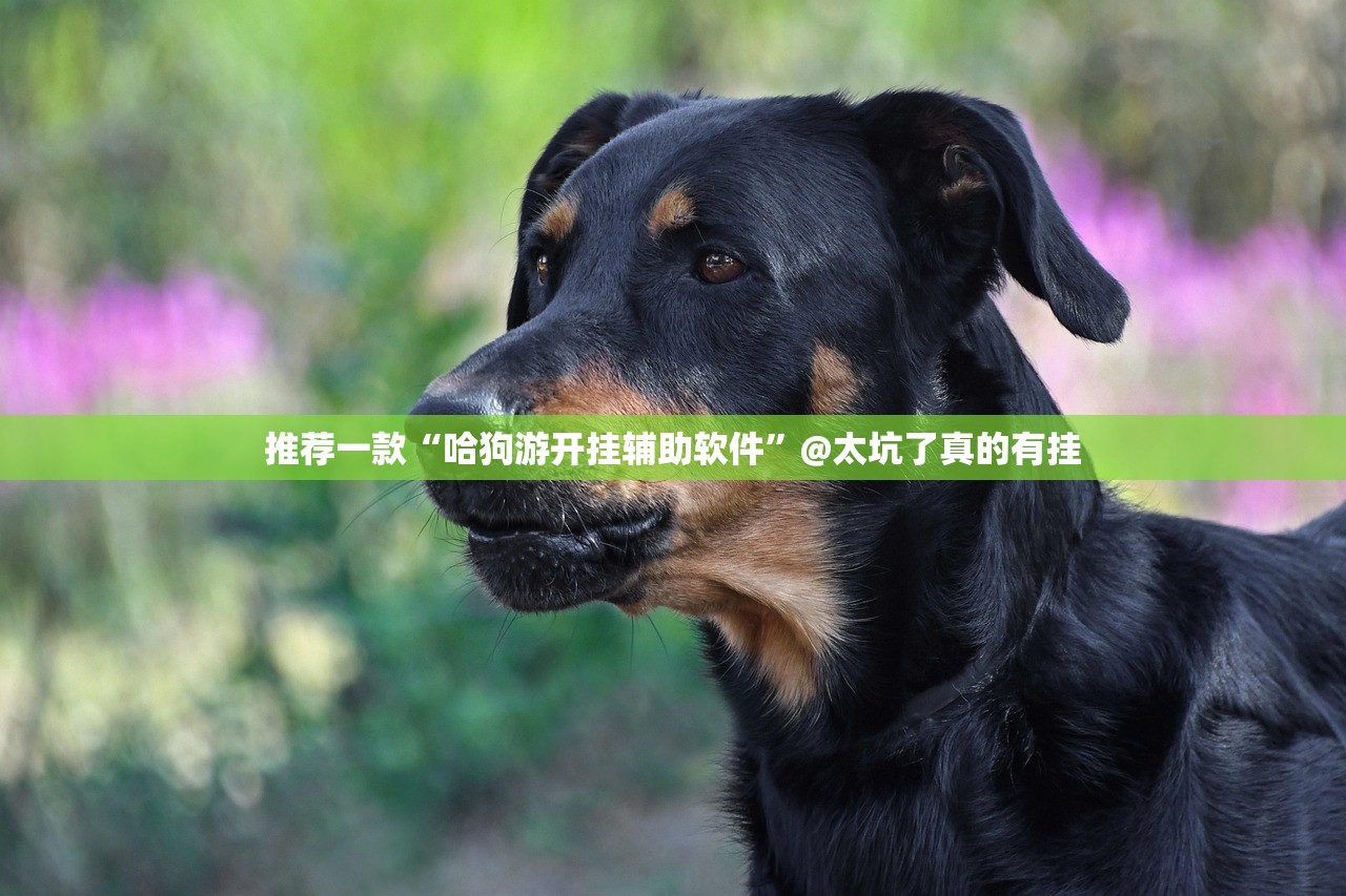 上海市疫情形势持续向好，精准防控与民生保障并重