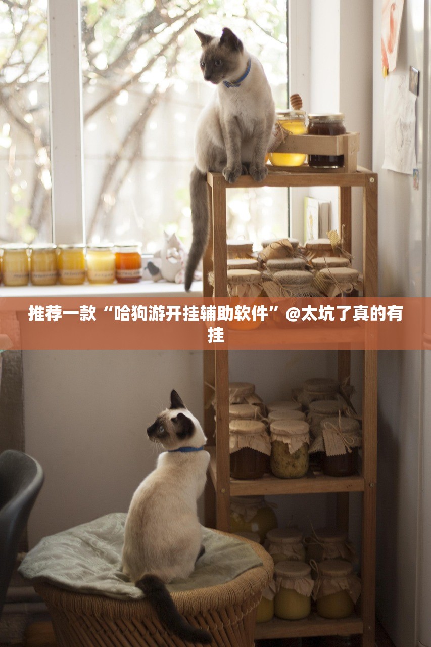 重大通报瓜瓜丰城棋牌确实有透视挂其实真的确实有挂 重大通报瓜瓜丰城棋牌确实有透视挂其实真的确实有挂