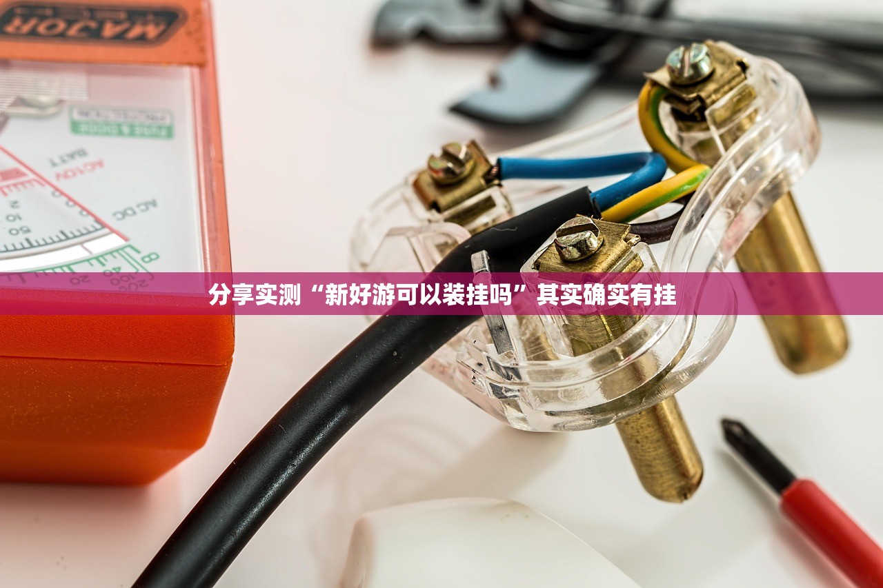 分享实测“新好游可以装挂吗”其实确实有挂 分享实测“新好游可以装挂吗”其实确实有挂