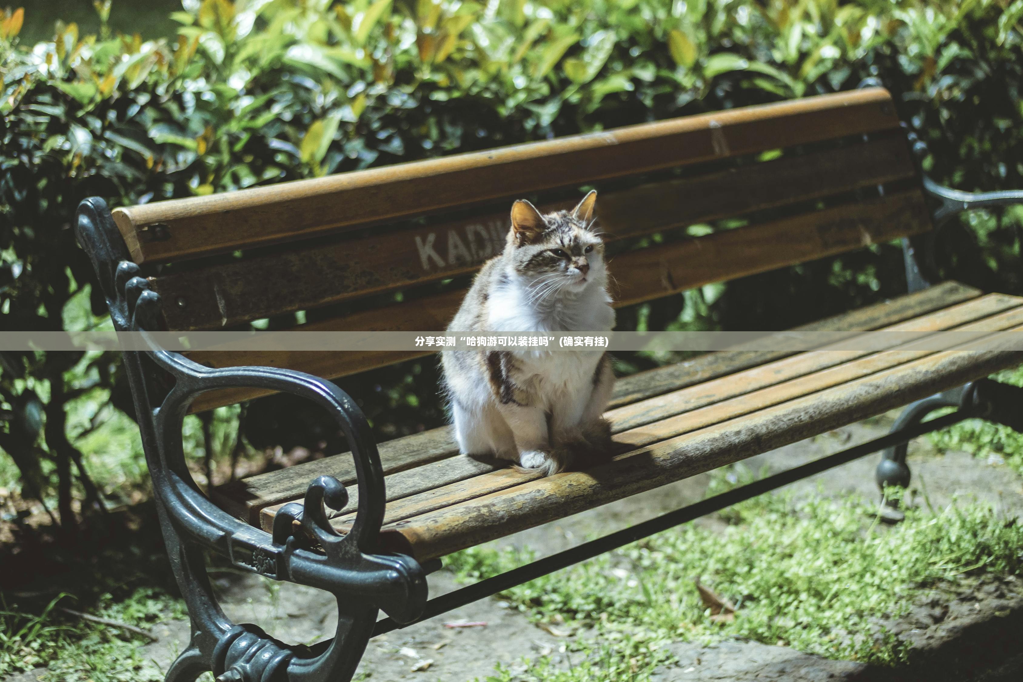 重大通报莆仙微乐挂辅助工具√曝光透视猫腻 重大通报莆仙微乐挂辅助工具√曝光透视猫腻