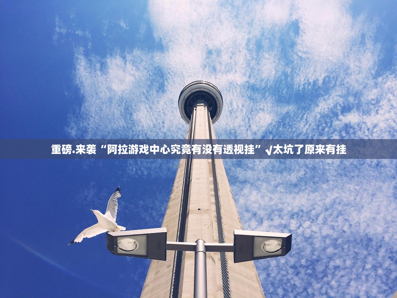 今日重大通报丫丫衡阳字牌开挂神器有没有挂果然有挂