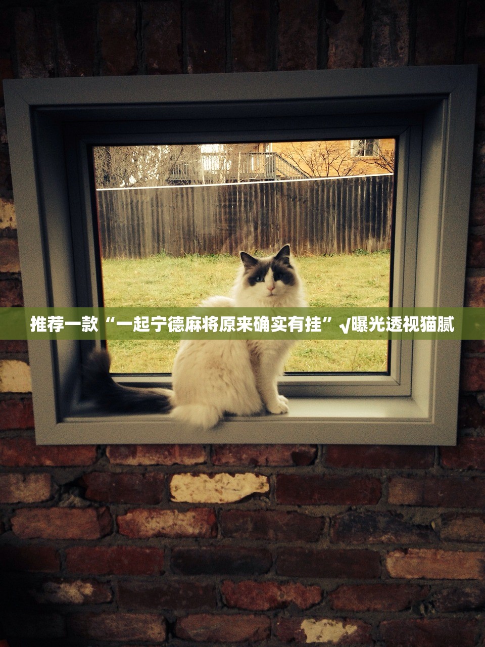 推荐一款“一起宁德麻将原来确实有挂”√曝光透视猫腻 推荐一款“一起宁德麻将原来确实有挂”√曝光透视猫腻