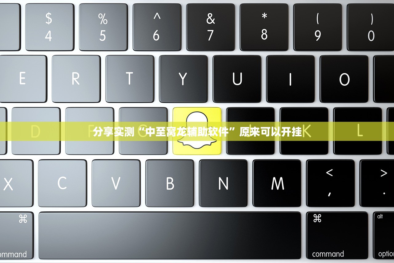 推荐一款趣玩开挂辅助软件实测确实有挂