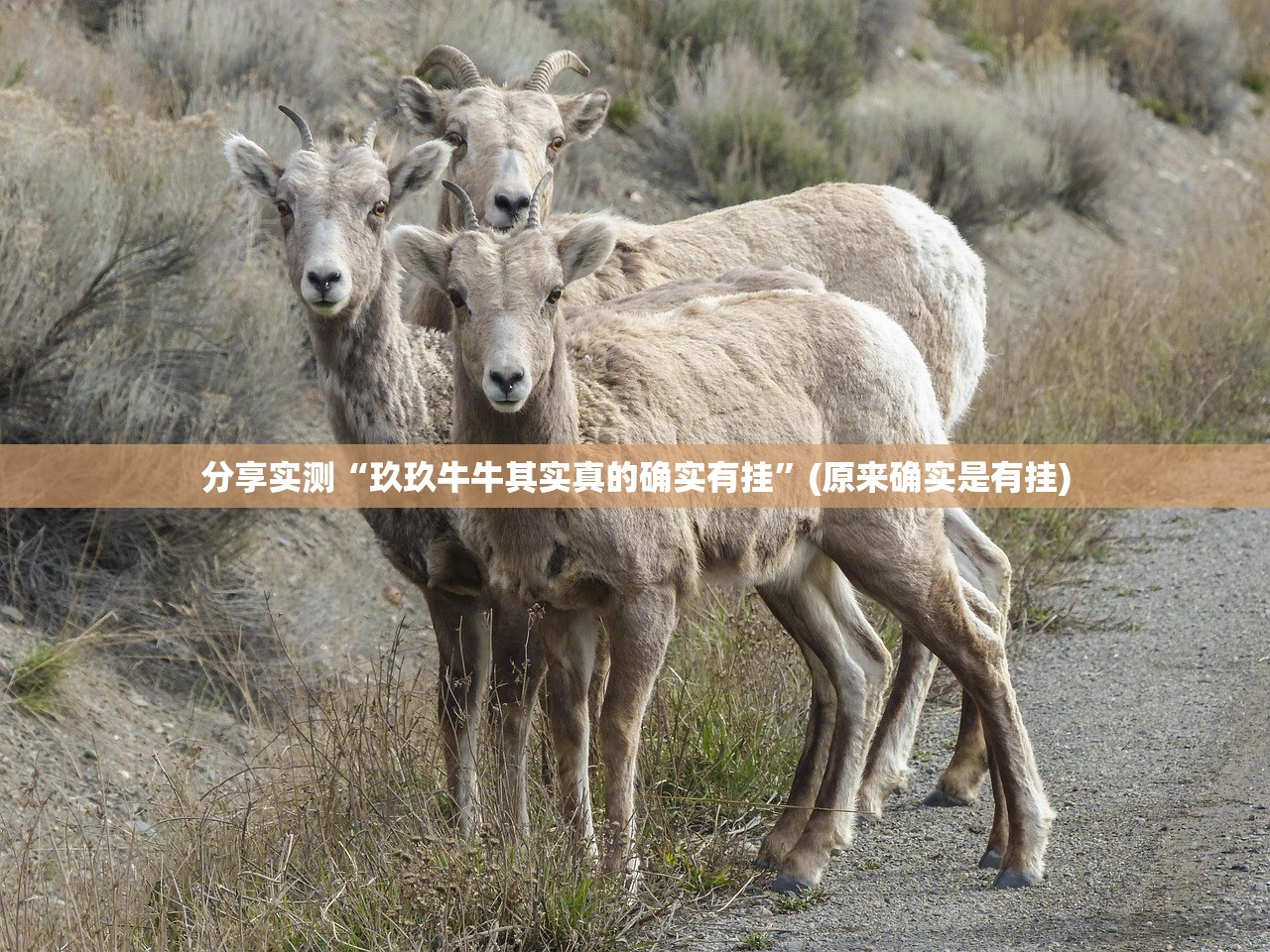 分享实测小闲54棋牌到底能不能开挂(真的有挂)-知乎 分享实测小闲54棋牌到底能不能开挂(真的有挂)-知乎