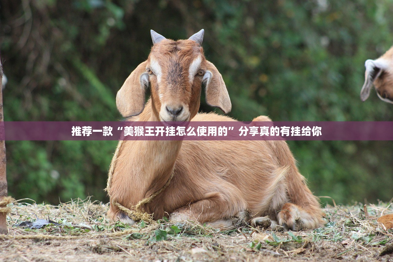 重磅.来袭方片十三张真的确实有挂其实有挂开挂神器 重磅.来袭方片十三张真的确实有挂其实有挂开挂神器