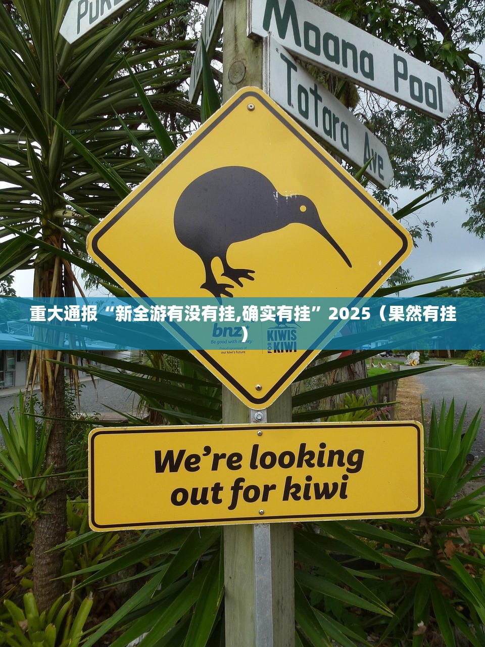 重磅.来袭鱼扑克有挂没(真的有挂)-知乎 重磅.来袭鱼扑克有挂没(真的有挂)-知乎