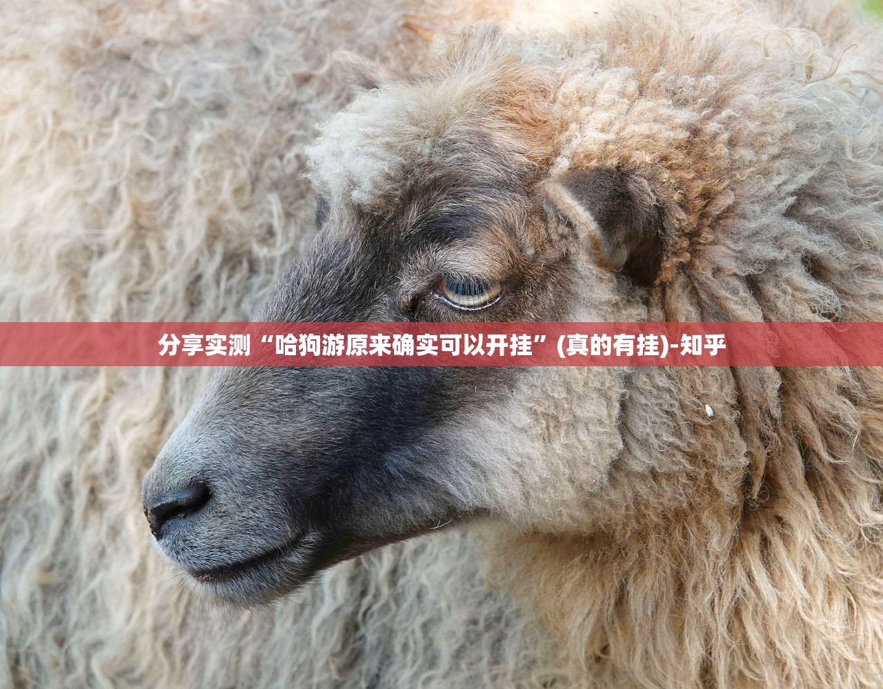 分享实测“哈狗游原来确实可以开挂”(真的有挂)-知乎