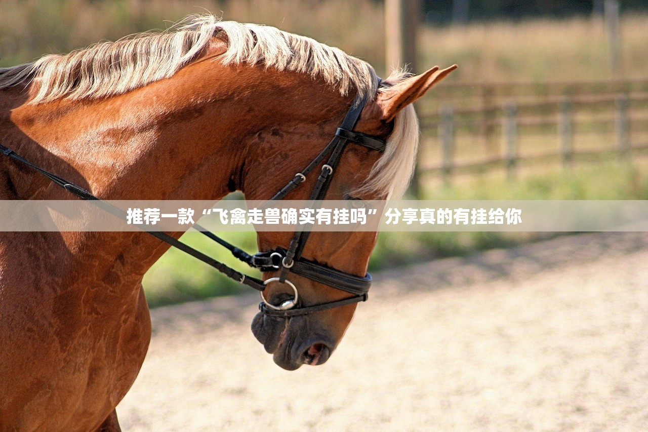 今日重大通报開心門一番外卦神器是真的吗(其实真的能开挂) 今日重大通报開心門一番外卦神器是真的吗(其实真的能开挂)