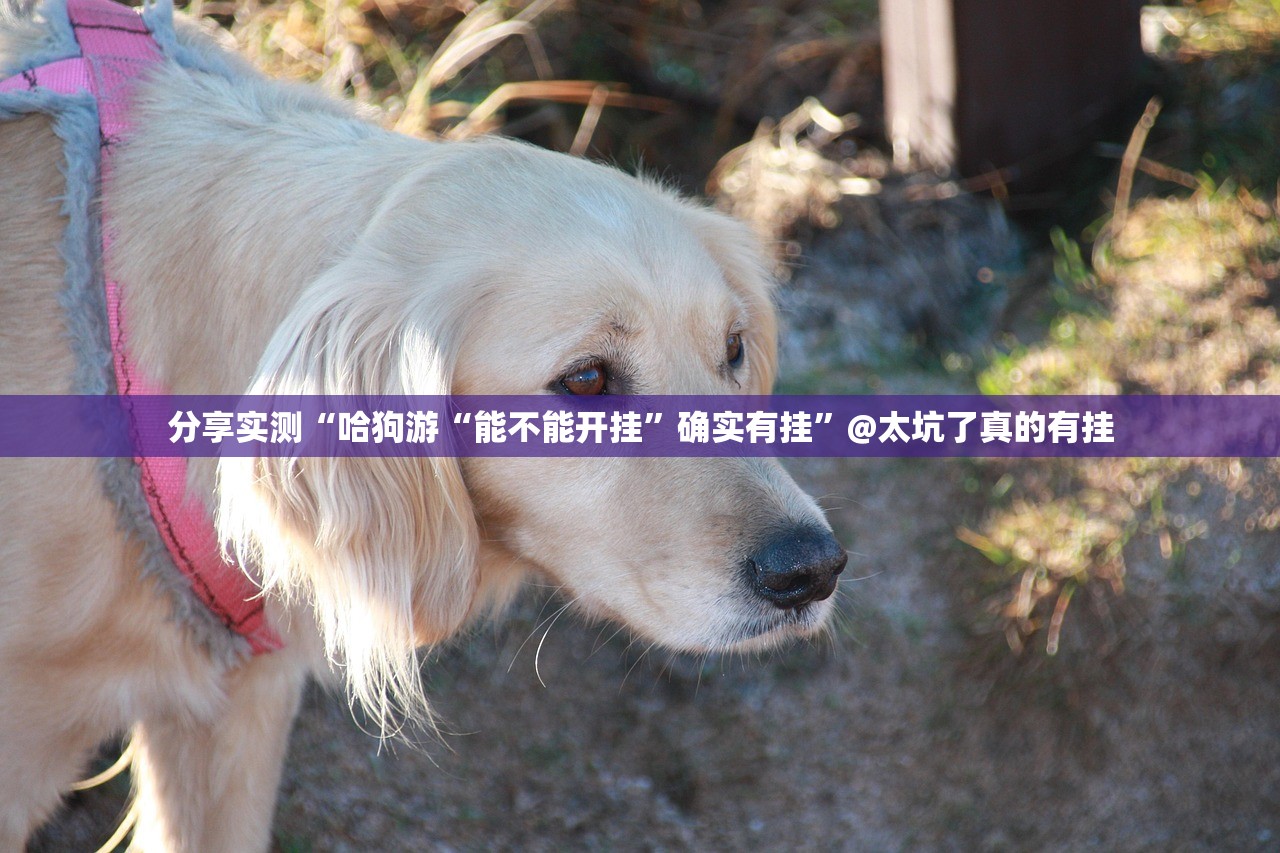 重磅.来袭微乐四川麻将其实能开挂吗(真的有挂)-知乎