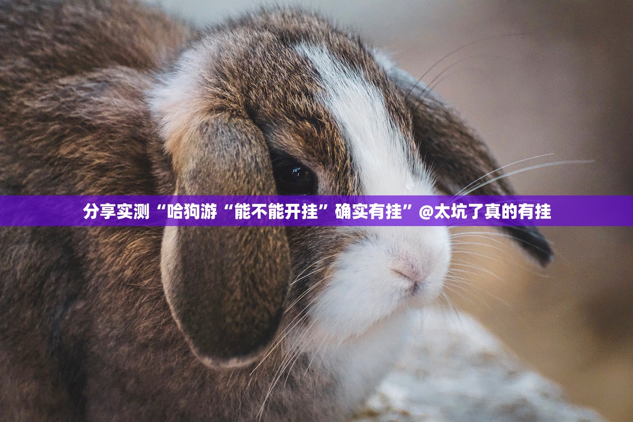 重磅.来袭poker挂怎么买!√其实是有挂 重磅.来袭poker挂怎么买!√其实是有挂