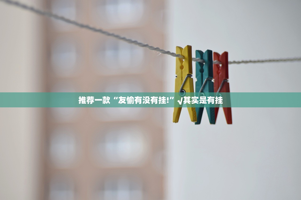 推荐一款“友愉有没有挂!”√其实是有挂 推荐一款“友愉有没有挂!”√其实是有挂