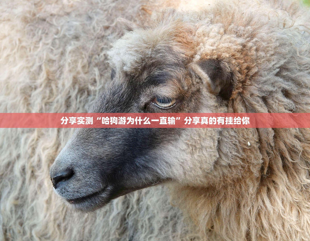 分享实测超盟开挂透视教程实测确实有挂 分享实测超盟开挂透视教程实测确实有挂