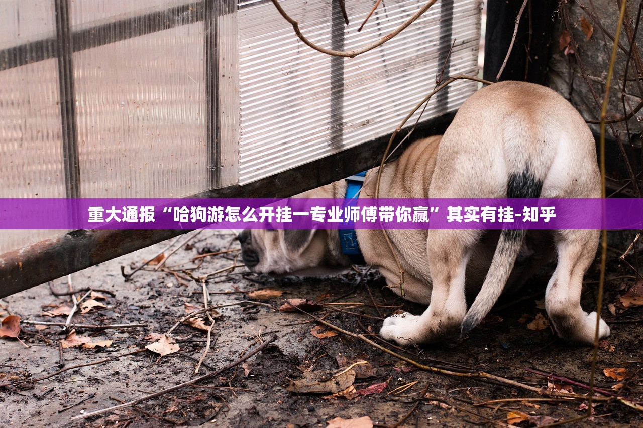 分享实测微乐捉鸡麻将有没有挂确实有挂其实有挂-知乎 分享实测微乐捉鸡麻将有没有挂确实有挂其实有挂-知乎