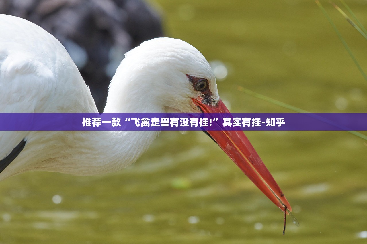 重磅.来袭德州牛仔怎么玩提高胜率(原来确实是有挂)