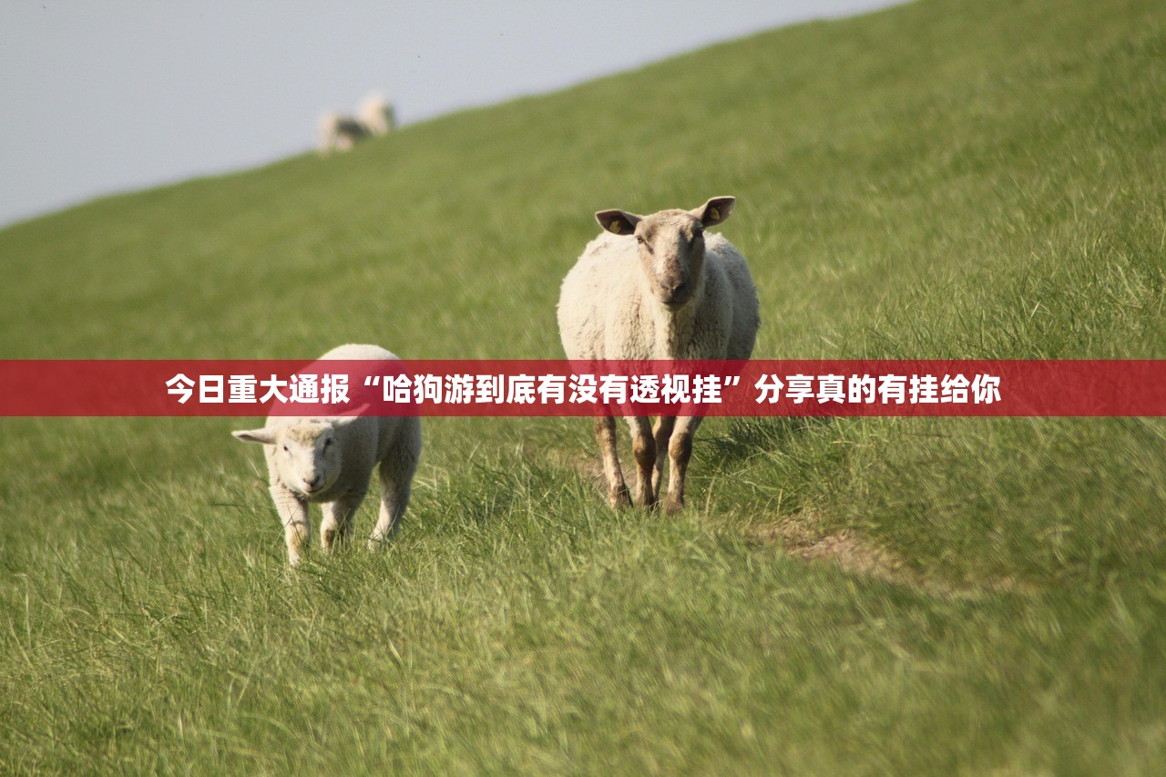 今日重大通报牛大魔王其实有挂确实真的有挂实测确实有挂 今日重大通报牛大魔王其实有挂确实真的有挂实测确实有挂