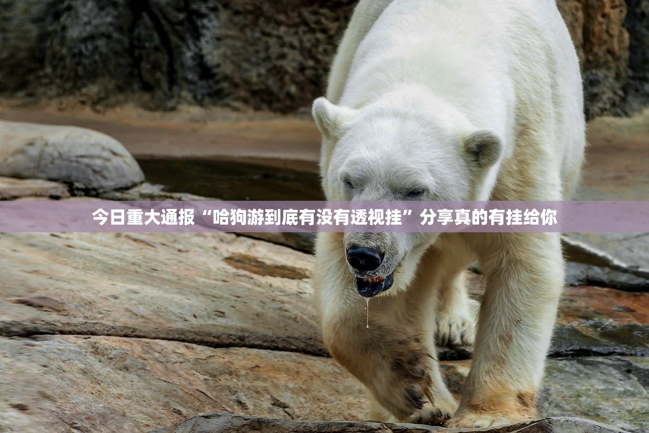 分享实测百兽之王2怎么买挂确实真的有挂其实确实有挂