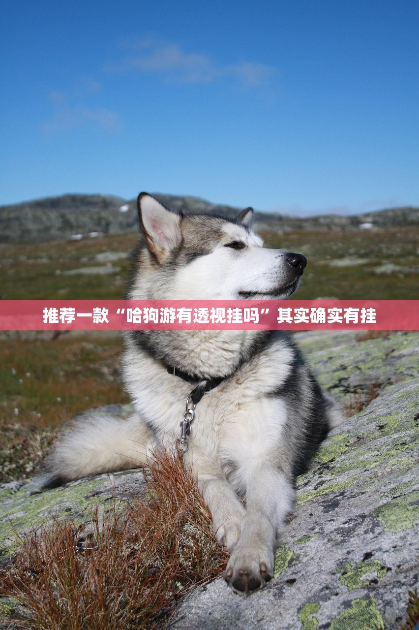 重磅.来袭阿拉游戏中心“能不能开挂”确实有挂其实有挂-知乎