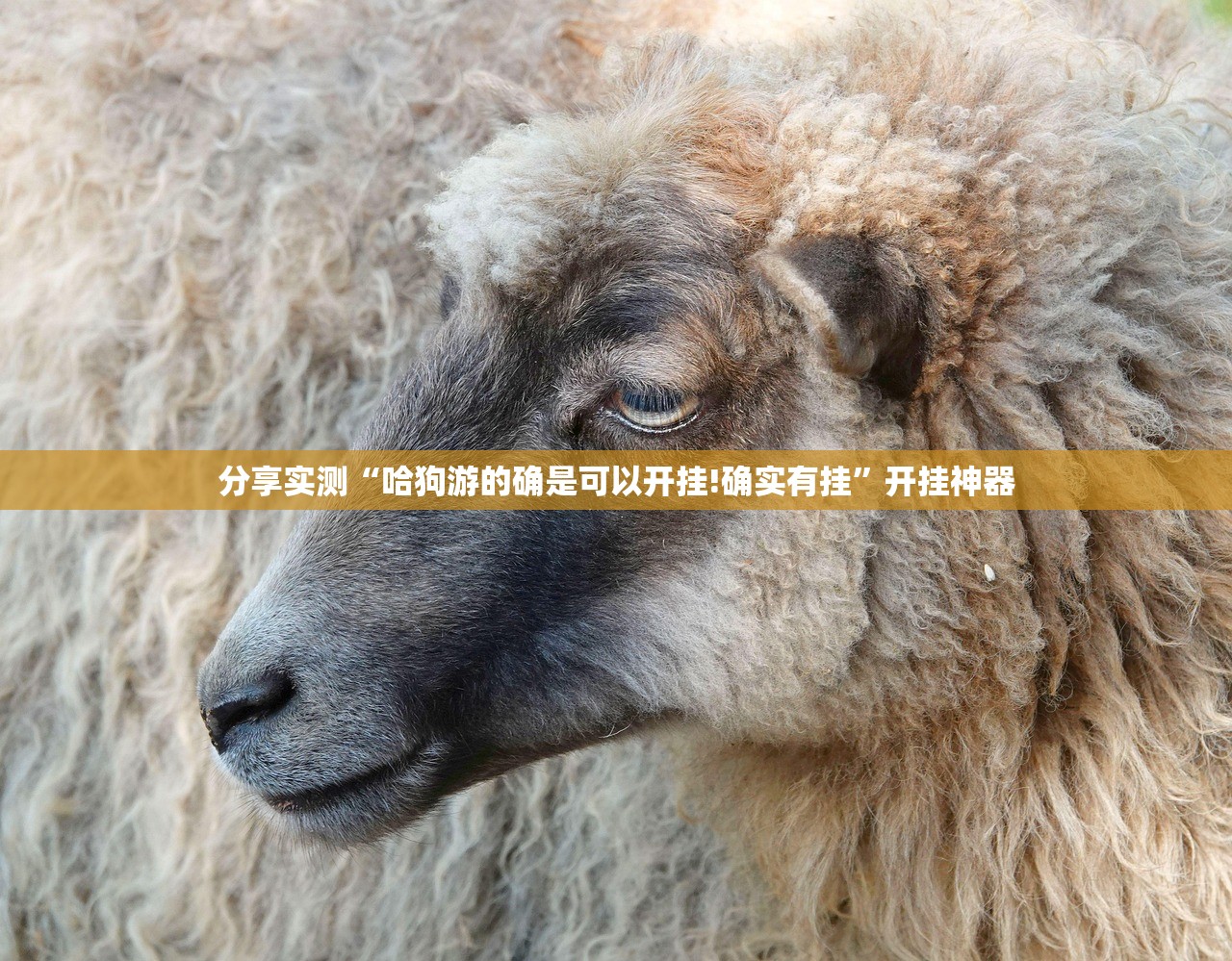 今日重大通报欢乐龙城棋牌有没有挂!其实有挂-知乎