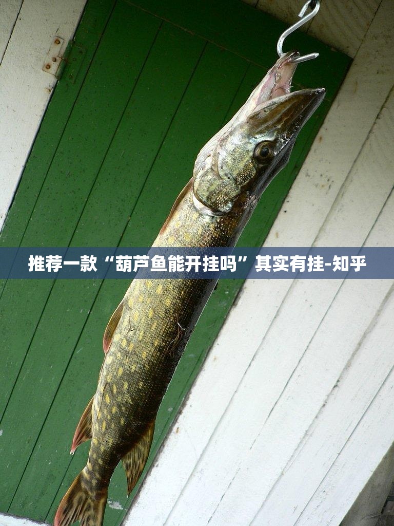 分享实测多乐跑胡子有没有透视挂(原来确实是有挂)